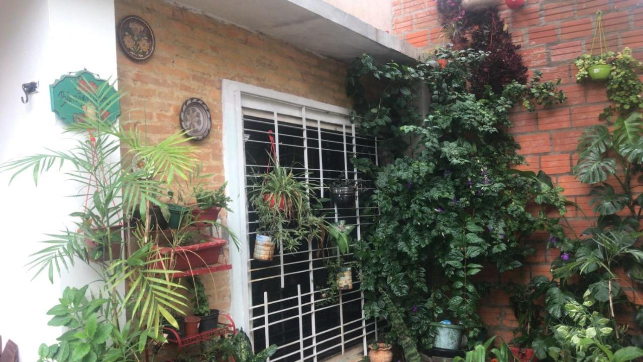 La Petite Maison De Diana Asunción Exterior foto