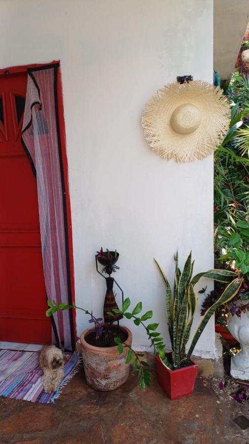 La Petite Maison De Diana Asunción Exterior foto
